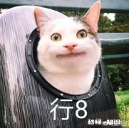 男女双方都出过轨，现在为了孩子重新回归生活可行吗