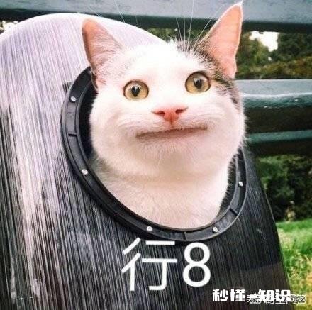 男女双方都出过轨，现在为了孩子重新回归生活可行吗