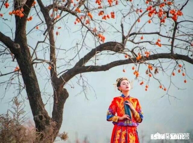 古代一些名人为什么会急流勇退去隐居