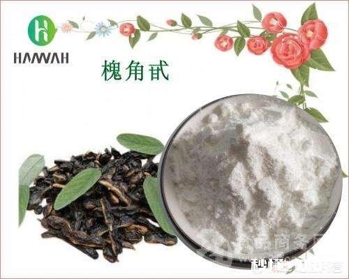 槐角的药用价值有什么禁忌