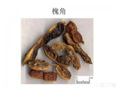 槐角的药用价值有什么禁忌