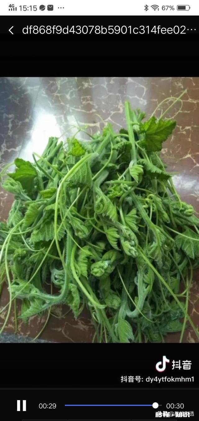 有些摆摊的小生意挺赚钱的，为什么有人却看不上，不愿意去做呢