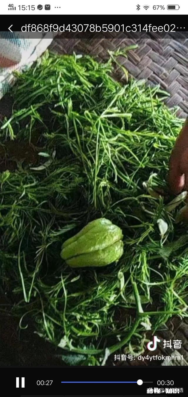 有些摆摊的小生意挺赚钱的，为什么有人却看不上，不愿意去做呢