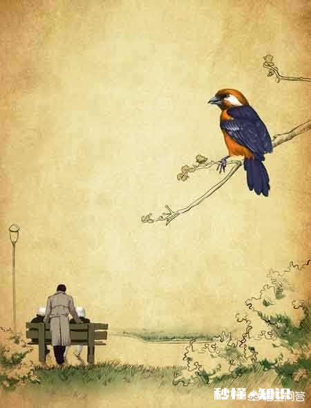 做什么事可以让生活变得更好