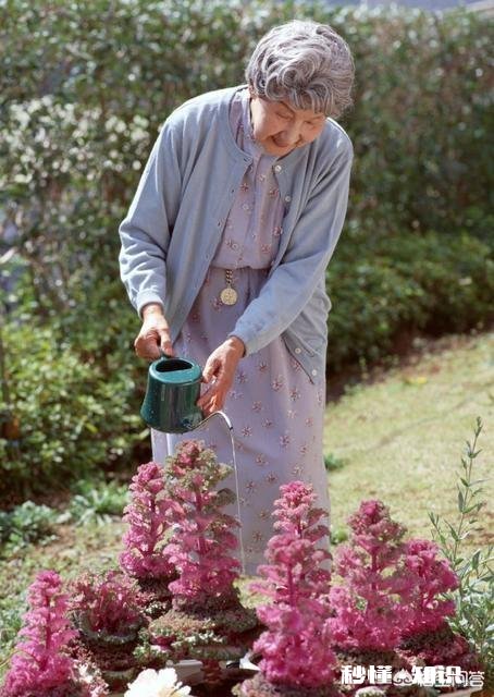 做什么事可以让生活变得更好