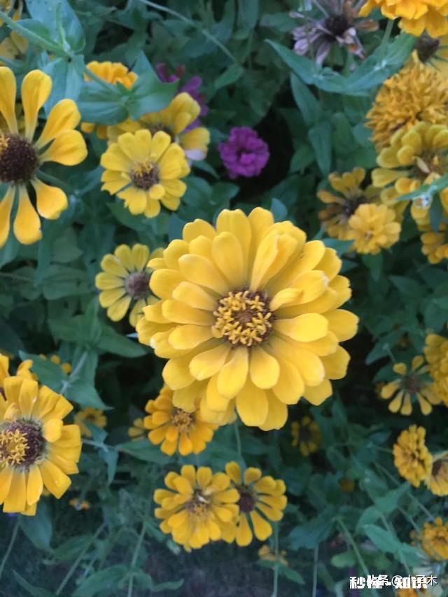 牛肉怎么腌制晒干