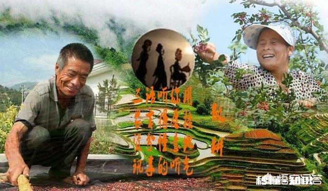 为什么有些非贫困户的人争着当贫困户为什么有些贫困户不愿意住安置点