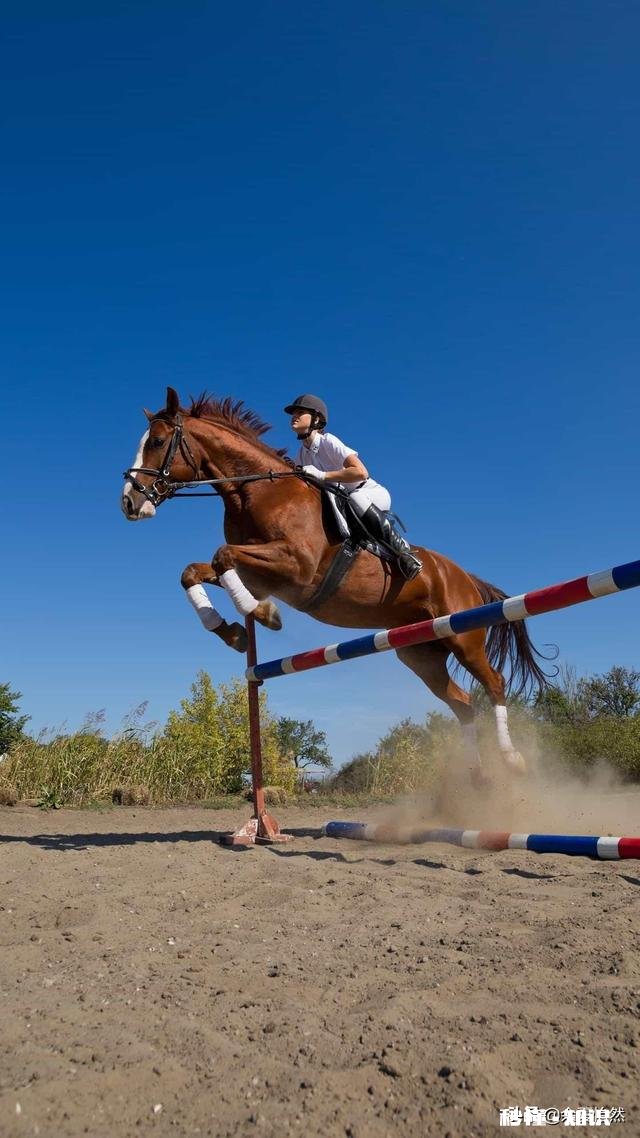 若法律禁止校外单位对中小学在校学生补课让学生在一条起跑线如何