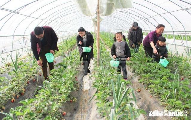 组织人去农村传授种植养殖技术，能提高农村的资源利用率吗