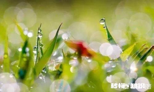 农民卖的三农食品有没有卫生食品许可证