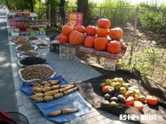 农民卖的三农食品有没有卫生食品许可证