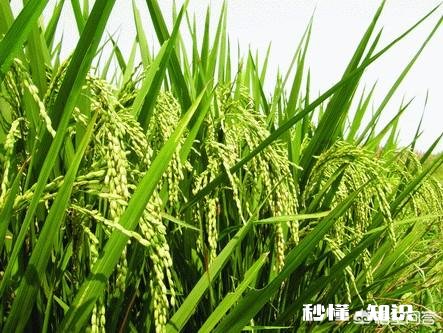 农民卖的三农食品有没有卫生食品许可证