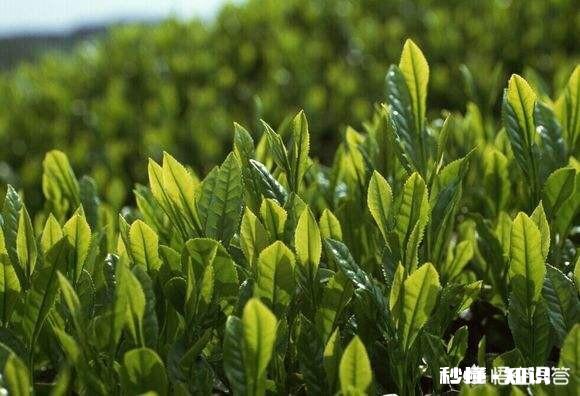 农民卖的三农食品有没有卫生食品许可证