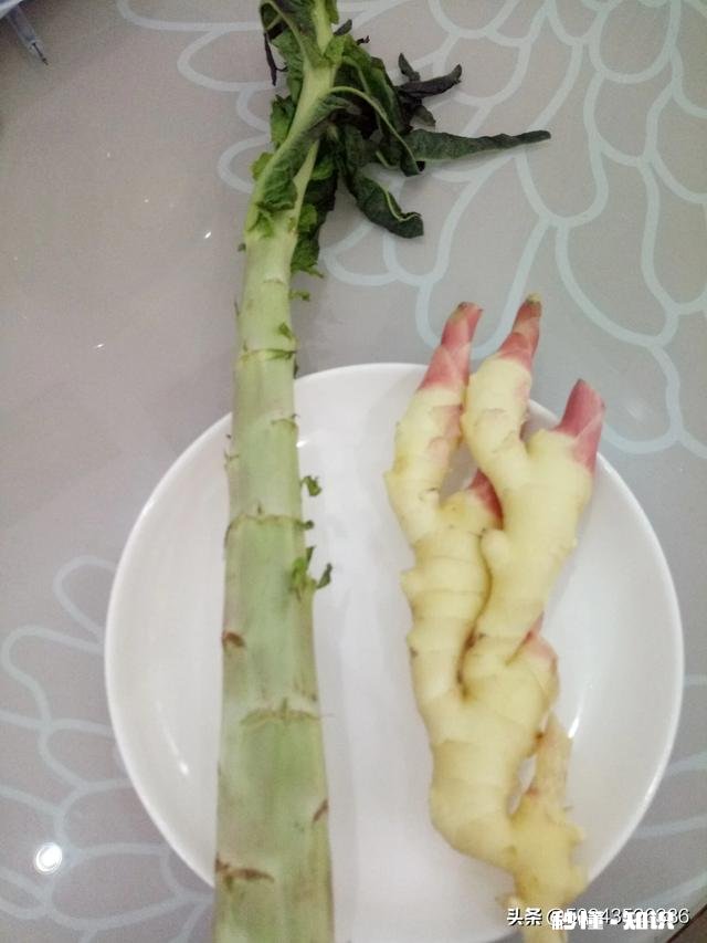 如何做出好吃的凉拌莴笋?去哪里学