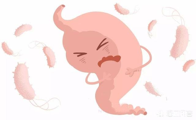 肠胃不好的人，在饮食上需要注意什么可以吃鱼豆腐吗