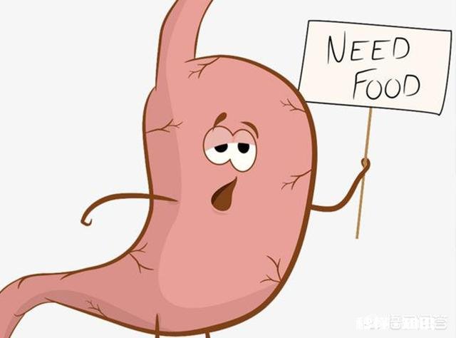 肠胃不好的人，在饮食上需要注意什么可以吃鱼豆腐吗