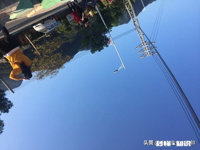 大家一般怎么处理过期的葡萄酒，有什么好的办法分享吗