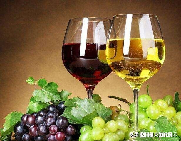 大家一般怎么处理过期的葡萄酒，有什么好的办法分享吗