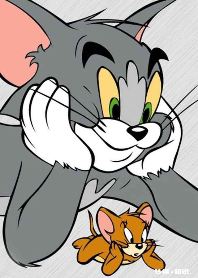 《猫和老鼠》中的汤姆和杰瑞谁最搞笑为什么