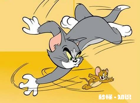 《猫和老鼠》中的汤姆和杰瑞谁最搞笑为什么
