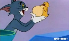 《猫和老鼠》中的汤姆和杰瑞谁最搞笑为什么