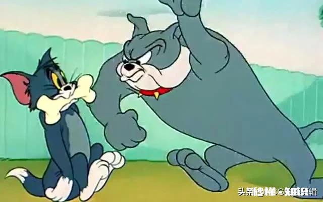 《猫和老鼠》中的汤姆和杰瑞谁最搞笑为什么