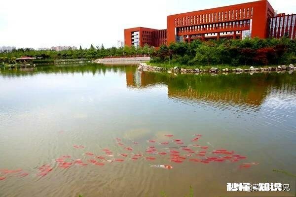 女儿被西北农大经济学录取，不知道是喜是忧，这学校怎么样