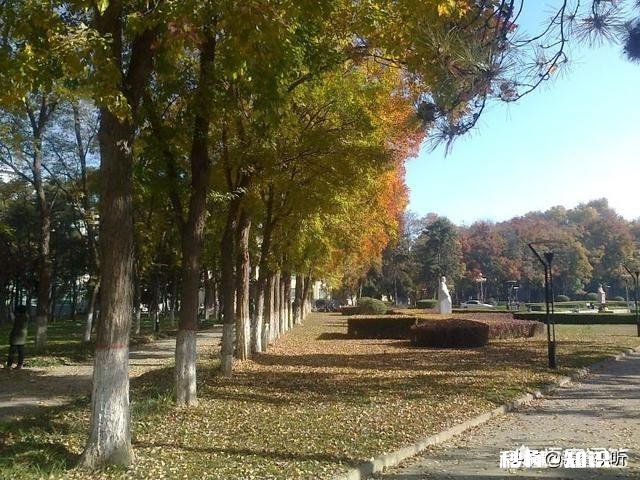 女儿被西北农大经济学录取，不知道是喜是忧，这学校怎么样