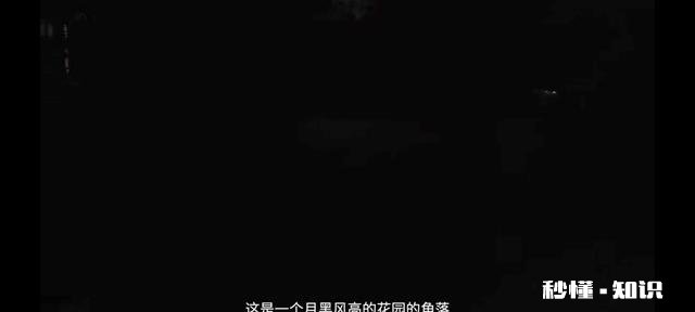 哪个手机拍照好一点有哪些推荐