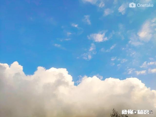 旅行出差需要经常坐飞机,订机票有什么省钱诀窍吗