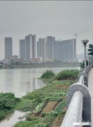 洛阳伊川县城现在适合买房吗