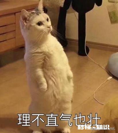 如果在地铁上遇到一个帅哥，你去向他要微信，他说他是明星，你会是什么反应