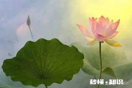 我们该为别人的错误买单吗