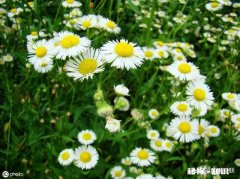 亲人去世了，下葬之前要不要看看呢