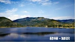 如果你需要用钱，你会选择向银行借还是找亲戚朋友借，为什么