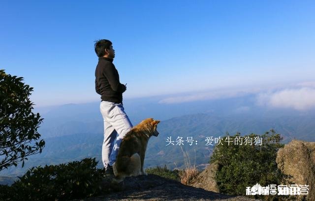 如果有人花一百万买你一手养大的狗，你愿意卖吗