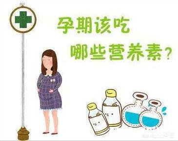 准妈妈如何科学补充营养