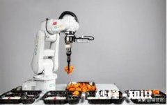 网络如何创业你知道么