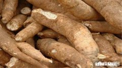 木薯怎么炒才好吃