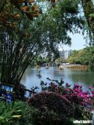 重庆女子与丈夫发生口角，将趴在车头的丈夫撞死，庭上辩称“误将油门当刹车”，法庭：曾