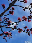 已经到三月中旬了，受疫情影响的你，现在复工了吗