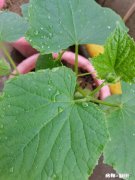 毫无征兆的分手是他冷静了还是他过于激动