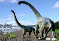 请大虾解惑:吃草的动物特别是比如远古吃草的大恐龙，哪里来的那么多钙支撑骨骼发育