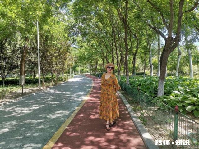 有四季款百搭时尚单品推荐吗