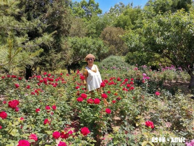 有四季款百搭时尚单品推荐吗