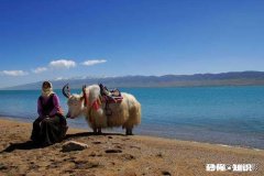 考虑这次疫情，七月底去青海旅游安全吗