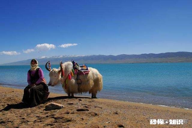考虑这次疫情，七月底去青海旅游安全吗