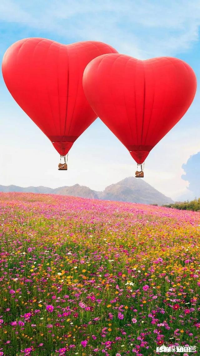 怎么追一个爱摄影的男孩