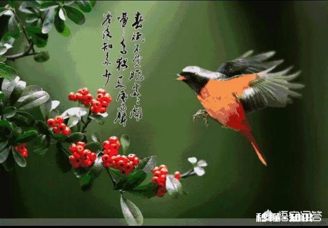 你城市的结婚彩礼大概多少?你结婚时收或送多少