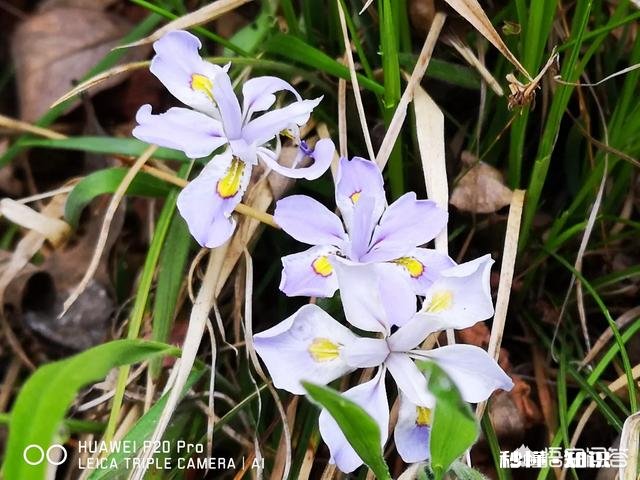 你城市的结婚彩礼大概多少?你结婚时收或送多少